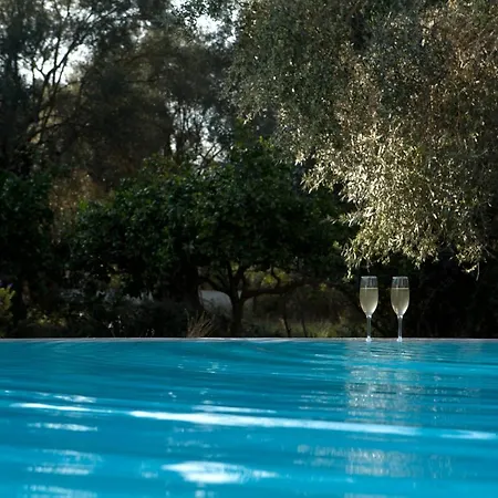 Agrikies 빌라 Lefkáda