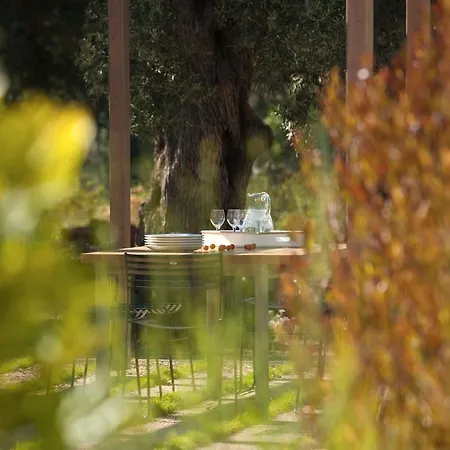 Villa Agrikies